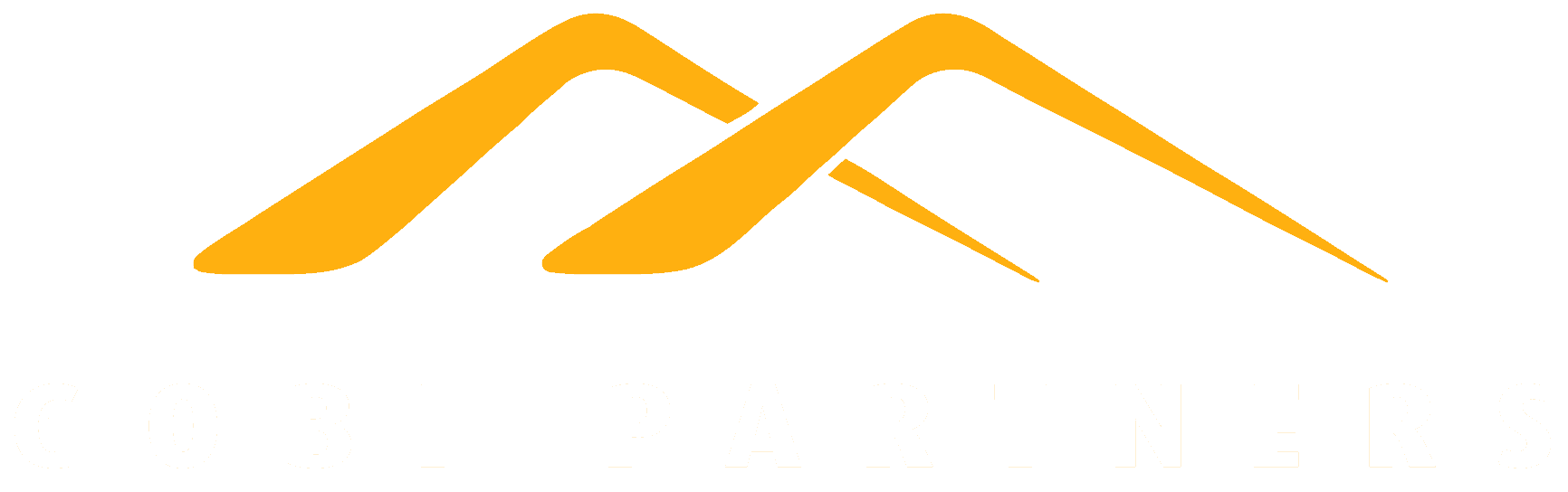 Gobi Partners